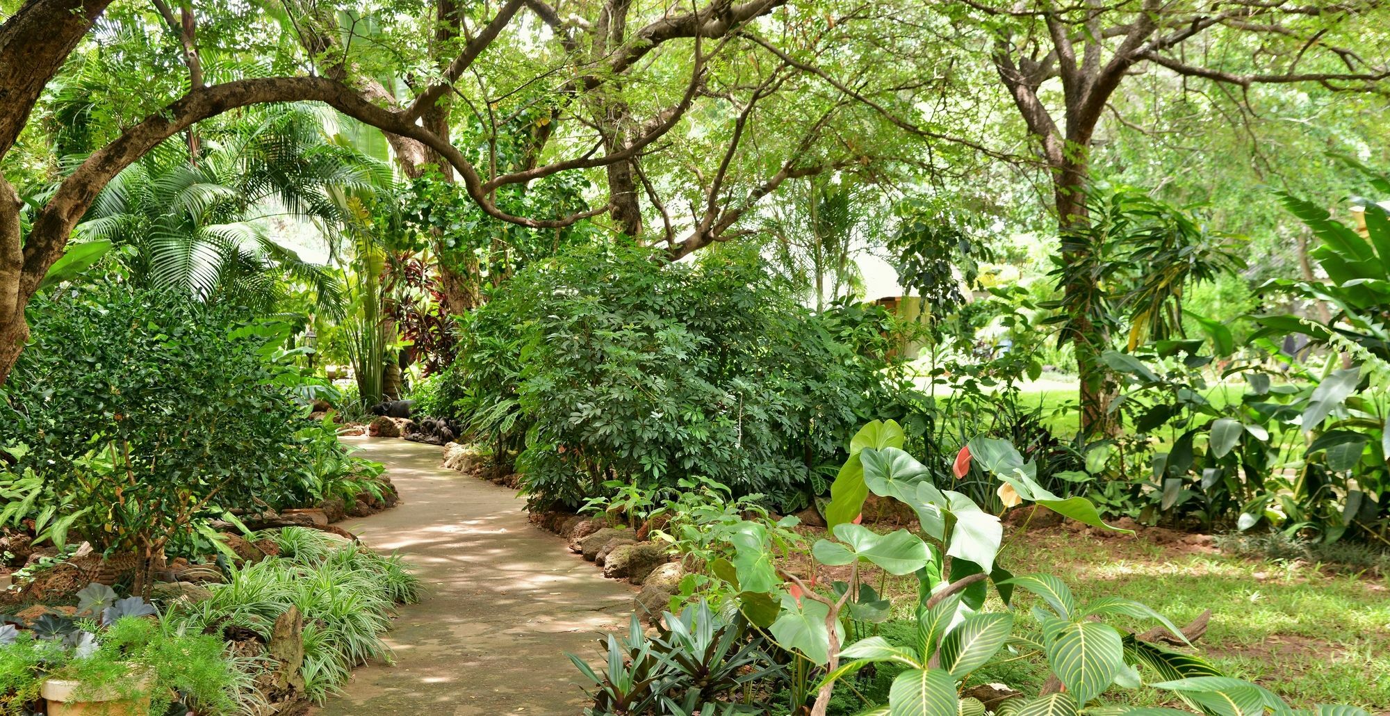 Bayete Guest Lodge Водопад Виктория Экстерьер фото